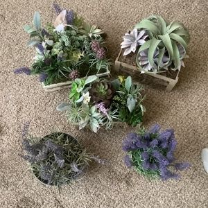 Wedding Succulent and Lavender Centerpieces